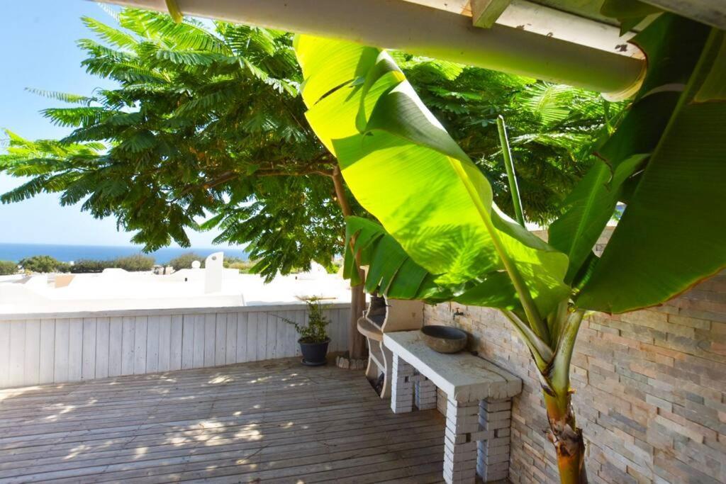 Book Jet - Costa Calma Blue Ocean Dream Terrace Apartment Exterior photo